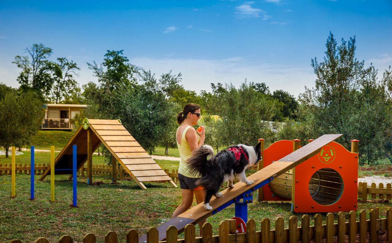 Aminess Maravea Camping Resort Holiday Homes Novigrad  Zewnętrze zdjęcie