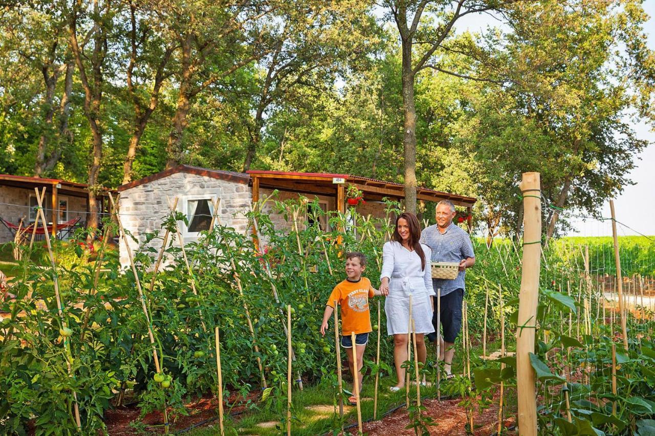 Aminess Maravea Camping Resort Holiday Homes Novigrad  Zewnętrze zdjęcie